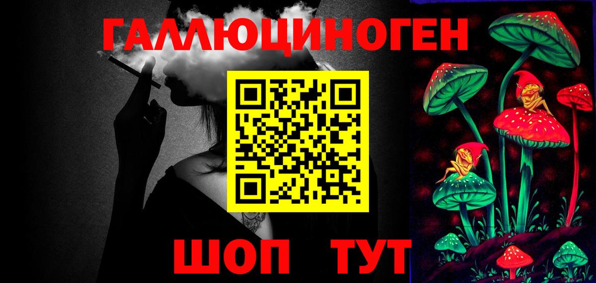 Камень-на-Оби  Галлюциногенные грибы Magic Shrooms  Вход с VPN  Псилоцибиновые грибы GOLDEN TEACHER 